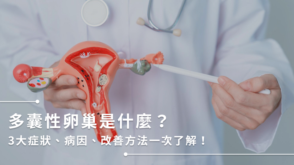 多囊性卵巢是什麼？3大症狀、病因、改善方法一次了解！
